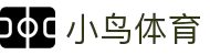 小鸟体育-小鸟综合体育官方网站-BIRD SPORTS